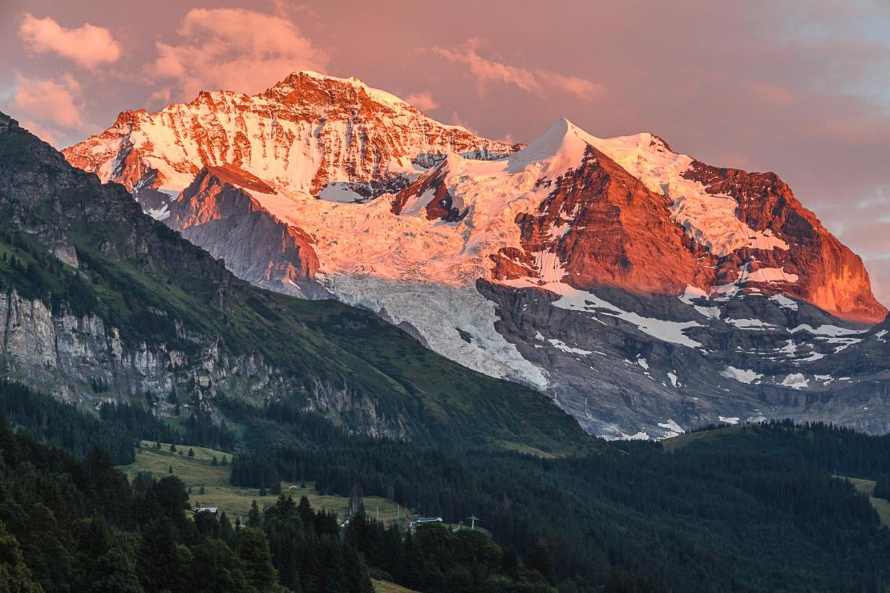 Hotel Berghaus Wengen Ngoại thất bức ảnh