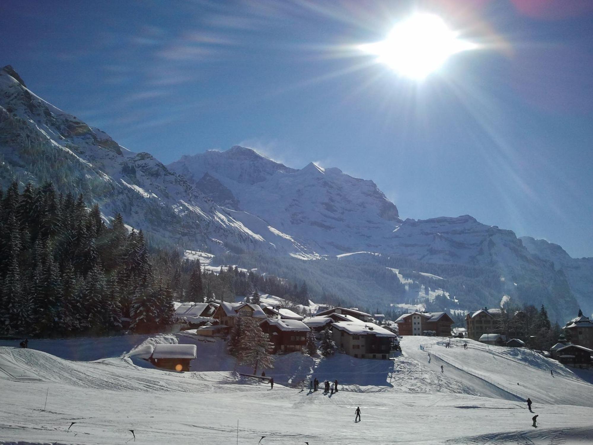 Hotel Berghaus Wengen Ngoại thất bức ảnh