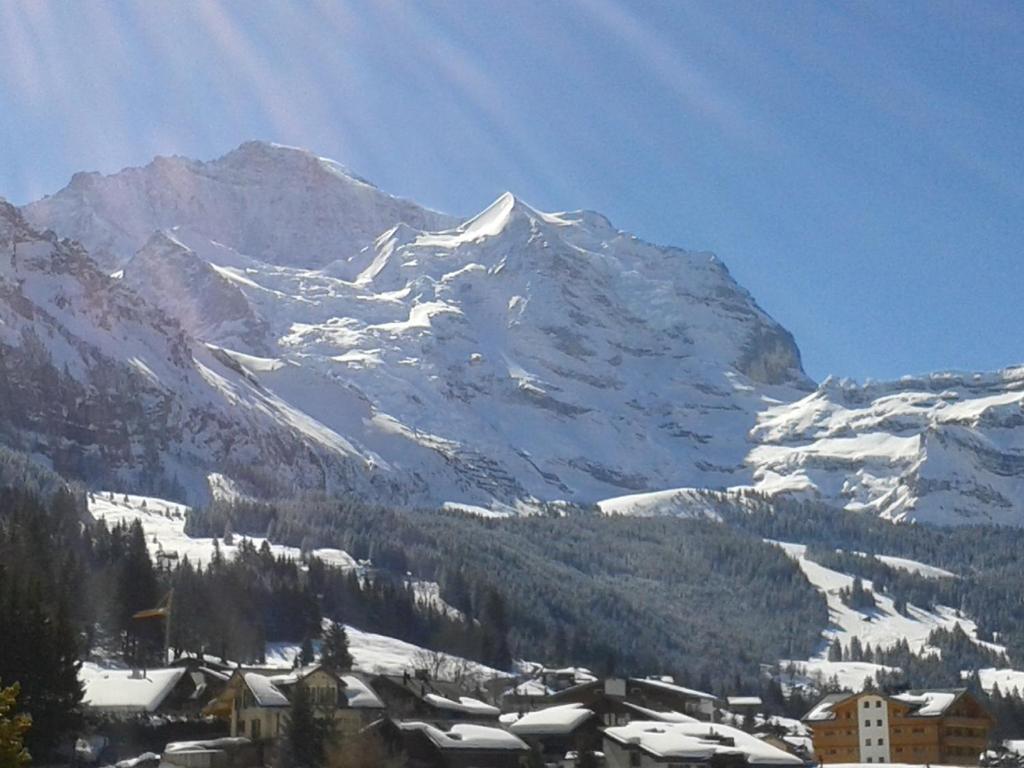Hotel Berghaus Wengen Ngoại thất bức ảnh