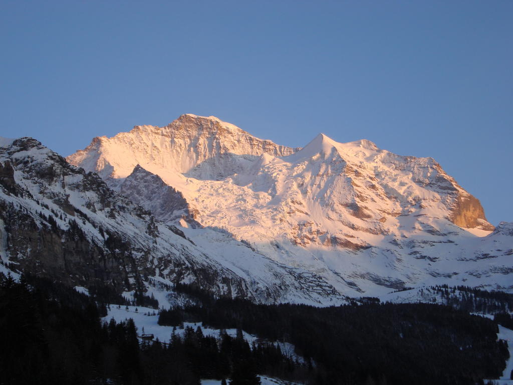 Hotel Berghaus Wengen Ngoại thất bức ảnh